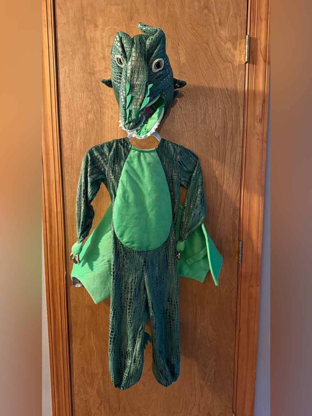 Pottery Barn Kids Green Dragon Halloween Costume 2 Pieces Size 4-6